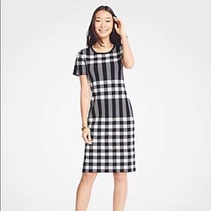 NWT Ann Taylor houndstooth dress size small tall